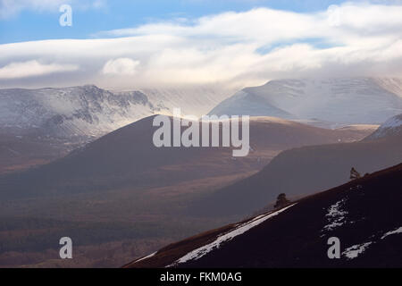 Blick in Richtung Lairig Ghru, Cairngorms in den schottischen Highlands, UK. Stockfoto