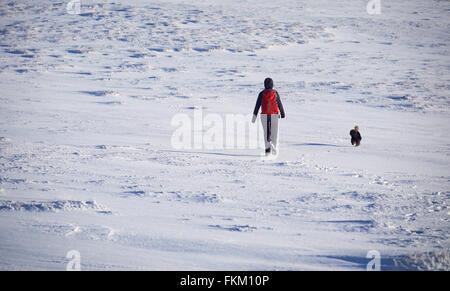 Ein Wanderer und ihr Hund zu Fuß über einen Schnee bedeckten Berg in den Cairngorms, die schottischen Highlands, UK. Stockfoto