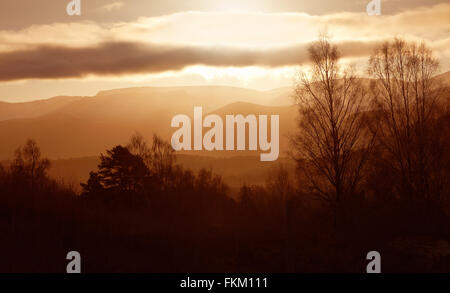 Sonnenaufgang im Wald von Lynwilg, Cairngorms in den schottischen Highlands, UK. Stockfoto