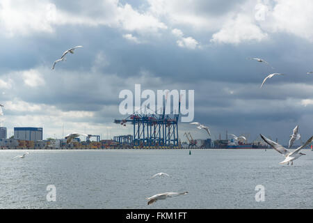 KLAIPEDA, Litauen - AUGUST 08,2015: Fähre in Klaipeda kreuzt das Kurische Haff. Litauen und die Kurische Nehrung verbindet. Stockfoto