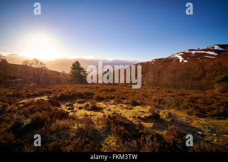 Sonnenaufgang über den Wald bei Lynwilg, Cairngorms in den schottischen Highlands, UK. Stockfoto