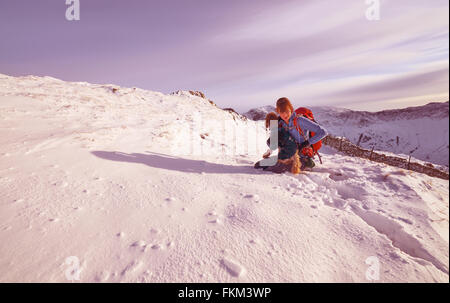 Ein Wanderer, überprüfen ihre Hunde Pfoten von Schnee im Winter. VEREINIGTES KÖNIGREICH. Zusätzlichen Filmkorn und Farbe-Styling. Stockfoto