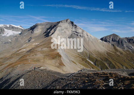 Glarner Schub auf Piz Dolf, Schweiz Stockfoto