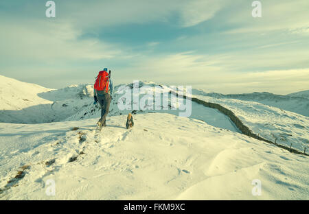 Wanderer zu Fuß ihren Hund auf schneebedeckten Berge im Vereinigten Königreich. Maserung und Farbe Styling angewendet Stockfoto