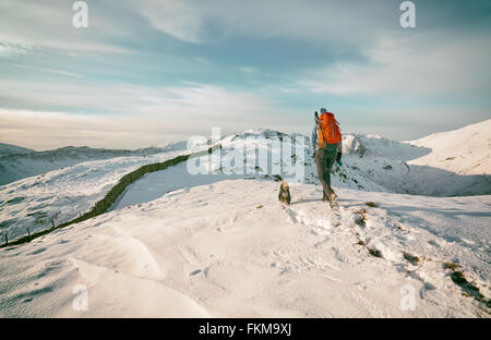 Wanderer zu Fuß ihren Hund auf schneebedeckten Berge im Vereinigten Königreich. Maserung und Farbe Styling angewendet Stockfoto