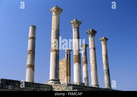 Marokko, Volubilis, antike römische Stadt, kapitolinische Tempelsäulen Stockfoto