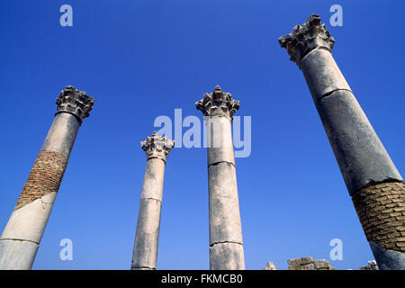 Marokko, Volubilis, antike römische Stadt, kapitolinische Tempelsäulen Stockfoto