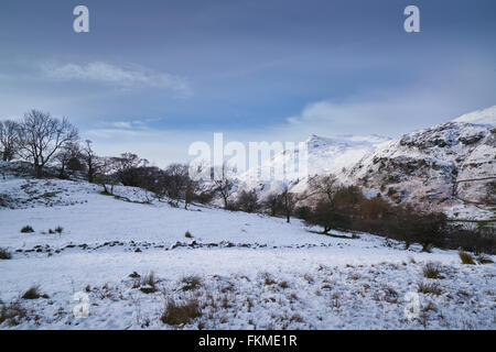 Mit Blick auf das Kap auf St Sunday Crag mit Fairfield in der Ferne hinter den Bäumen. Der Lake District. Stockfoto