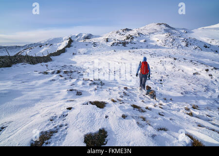 Wanderer zu Fuß ihren Hund entlang Hartsop oben wie das Hart Crag führt. Englischen Lake District. Stockfoto