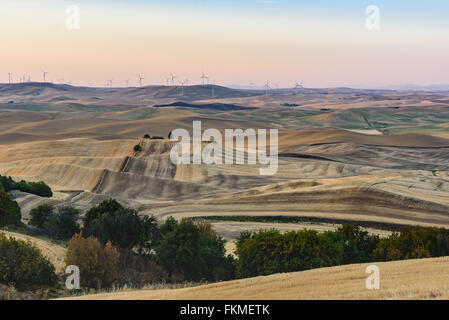 Windkraftanlagen über die sanften Hügel des Palouse Weizens Anbaugebiet von Washington State USA bei Sonnenuntergang Stockfoto