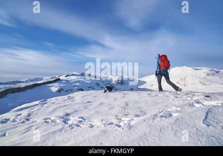 Wanderer zu Fuß ihren Hund entlang Hartsop oben wie das Hart Crag führt. Englischen Lake District. Stockfoto