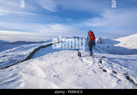 Wanderer zu Fuß ihren Hund entlang Hartsop oben wie oben Deepdale Beck, der in Richtung Hart Crag führt. Englischen Lake District. Stockfoto