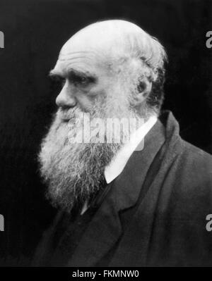 Charles Darwin. Porträt der englische Naturforscher Charles Darwin (1809-1882) durch Julia Margaret Cameron, 1868 Stockfoto