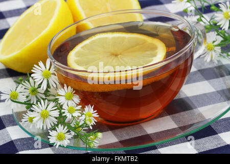 Tasse Tee mit Zitrone mit frischen Kamillenblüten auf der Seite Stockfoto