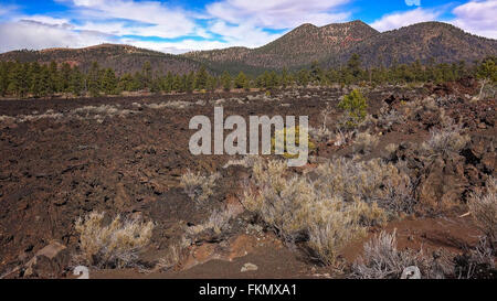 Alten Feld von Lava an der Bonito Lava Flow in Sunset Crater National Monument Stockfoto