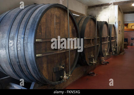 Pineau des Charentes oder nur "Pineau" ist ein französischer Aperitif leicht fermentierte Traubenmost vermischt und Eaux-de-vie (Cognac) und Stockfoto