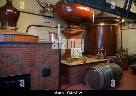 Pineau-Brennerei in Le Maine Giraud Manor, Champagner-Vigny, Poitou-Charentes, Frankreich. Stockfoto