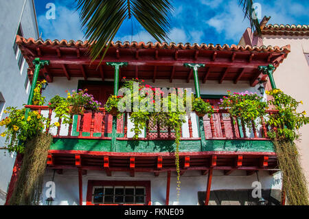 Balkone mit Blumen auf der Kanarischen Insel palm Stockfoto