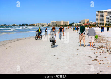 Blick auf Siesta Key Beach in Sarasota Florida nach einer Flut und Tausende von Muscheln am Strand liegen Stockfoto