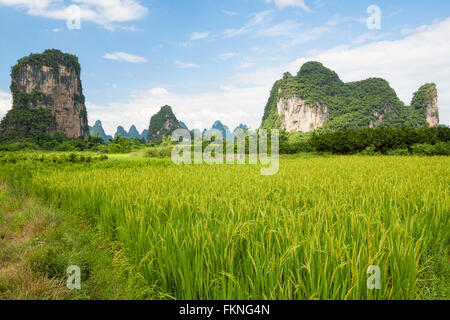 Berge Karstlandschaft in Südchina Stockfoto