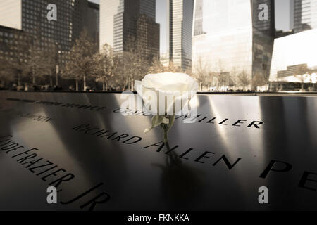 Weiße Rose, WTC Fußabdruck Pool, Wasserfälle und Wand von Namen, die National September 11 Memorial, Lower Manhattan, NYC Stockfoto