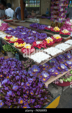 Floral-Angebote für den Verkauf in der Nähe der Tempel des Zahns, Kandy, Sri Lanka Stockfoto