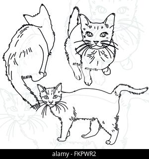 Vektor-Illustration der drei Katzen gemalten Linien Stock Vektor