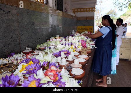 (160310)--COLOMBO, 10. März 2016 (Xinhua)--Sri Lanka Buddhisten beten in die Heilige Stadt Anuradhapura in North Central Province, Sri Lanka, 9. März 2016. Diese heilige Stadt wurde gegründet, um einen Ausschnitt aus der "Baum der Erleuchtung", die Buddha Feigenbaum, brachte es im 3. Jahrhundert v. Chr. Der Baum, der aus der Branche wuchs in der Stadt Anuradhapura steht und gilt als ein Objekt großer Verehrung mit Zehntausenden Besuch Anuradhapura zu huldigen. Im Jahr 1982 wurde die Heilige Stadt Anuradhapura als eine United Nations Educational, Scientific eingeschrieben und Stockfoto