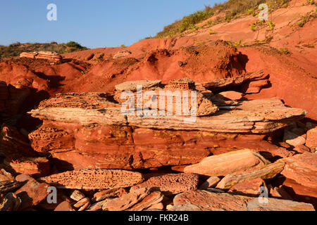 Detail des roten Pindan Felsformation, Reddell Strand, Gantheaume Point, Broome, Kimberley-Region, Western Australia, WA, Australien Stockfoto