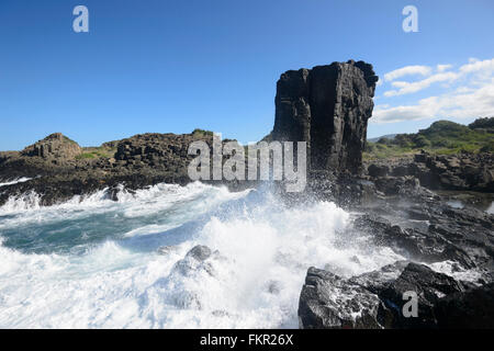 Bombo Landzunge Steinbruch, Kiama, Illawarra Coast, New South Wales, Australien Stockfoto