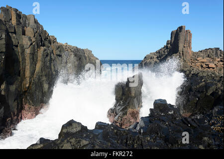 Bombo Landzunge Steinbruch, Kiama, Illawarra Coast, New South Wales, Australien Stockfoto