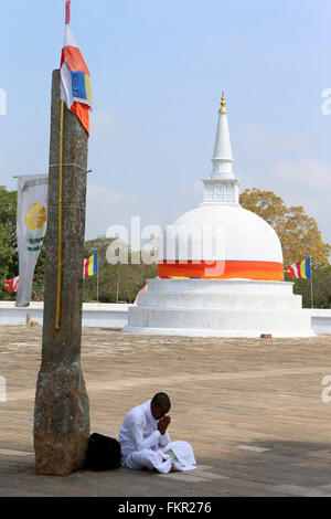 (160310)--COLOMBO, 10. März 2016 (Xinhua)--A Sri Lankan buddhistischer Gebete an die Heilige Stadt Anuradhapura in Nord-Zentralprovinz in Sri Lanka bietet 9. März 2016. Diese heilige Stadt wurde gegründet, um einen Ausschnitt aus der "Baum der Erleuchtung", die Buddha Feigenbaum, brachte es im 3. Jahrhundert v. Chr. Der Baum, der aus der Branche wuchs in der Stadt Anuradhapura steht und gilt als ein Objekt großer Verehrung mit Zehntausenden Besuch Anuradhapura zu huldigen. Im Jahr 1982 wurde die Heilige Stadt Anuradhapura als eine United Nations Educational, Scientific Weltkulturerbe ein Stockfoto