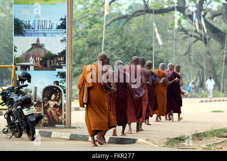 (160310)--COLOMBO, 10. März 2016 (Xinhua)--Sri Lankas buddhistische Mönche sind auf ihrem Weg in die Heilige Stadt Anuradhapura in North Central Province, Sri Lanka, 9. März 2016 zu beten. Diese heilige Stadt wurde gegründet, um einen Ausschnitt aus der "Baum der Erleuchtung", die Buddha Feigenbaum, brachte es im 3. Jahrhundert v. Chr. Der Baum, der aus der Branche wuchs in der Stadt Anuradhapura steht und gilt als ein Objekt großer Verehrung mit Zehntausenden Besuch Anuradhapura zu huldigen. Im Jahr 1982 war die Heilige Stadt Anuradhapura eingeschrieben als einer Vereinten Nationen für Bildung, Stockfoto