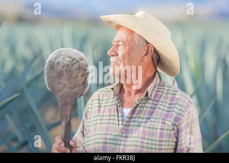 Ältere Hispanic Bauer im Feld stehen Stockfoto