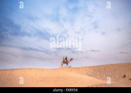 Nomade auf einem Kamel in der Wüste Thar, Rajasthan, Indien Stockfoto