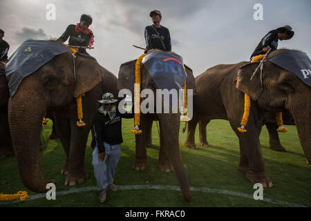 Bangkok, Thailand. 10. März 2016. Elefanten stehen während der Eröffnungsfeier im 2016 Kings Cup Elephant Polo Chaopraya Anantara Resort in Bangkok, Thailand am 10. März 2016. Des Königs Cup Elephant Polo wurde im Jahr 2001 von Anantara Resort nach Thailand eingeführt und ist inzwischen einer der größten gemeinnützigen Veranstaltungen in Thailand mehr als US$ 950.000 für das Institut National Elephant Bevölkerung angesprochen hat. Bildnachweis: ZUMA Press, Inc./Alamy Live-Nachrichten Stockfoto