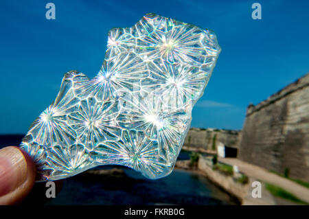 Alte portugiesische Glasscherbe vor Fort, Ilha de Mozambique, Nampula, Mosambik Stockfoto