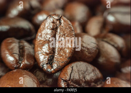 Makro-Kaffeebohne auf Schatten Hintergrund Stockfoto