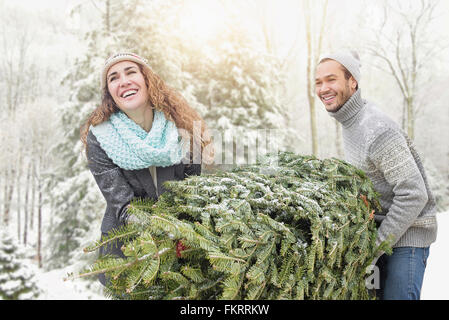 Paar schleppen Baum auf Christmas Tree farm Stockfoto