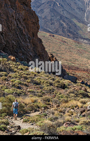 Wanderer auf einem Rundweg um Roques Garcia del Felsformation am Fuße des Vulkan Teide (3718 m). Stockfoto
