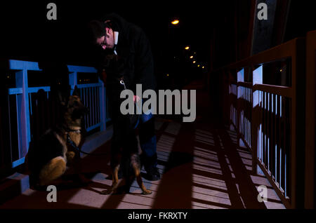 Junger Mann geht mit Deutsche Schäferhunde in der Nacht Stockfoto