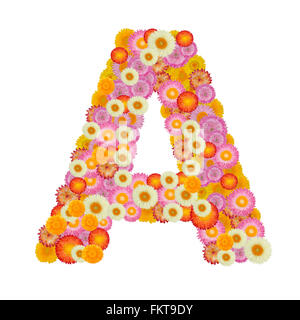 Buchstabe A Alphabet mit Stroh Blume isoliert auf weißem Hintergrund Stockfoto