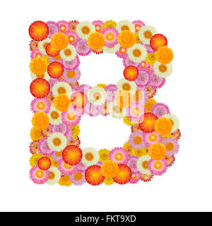 Buchstabe B Alphabet mit Stroh Blume isoliert auf weißem Hintergrund Stockfoto