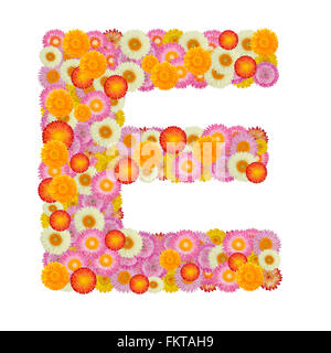 Buchstabe E Alphabet mit Stroh Blume isoliert auf weißem Hintergrund Stockfoto