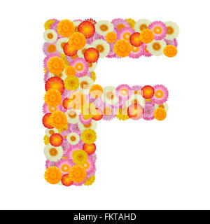 Buchstabe F Alphabet mit Stroh Blume isoliert auf weißem Hintergrund Stockfoto