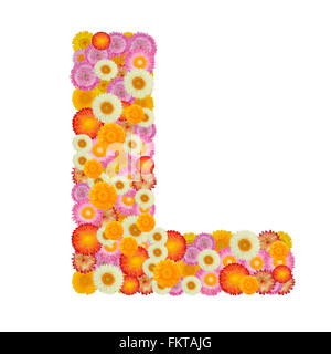 Buchstabe L-Alphabet mit Stroh Blume isoliert auf weißem Hintergrund Stockfoto