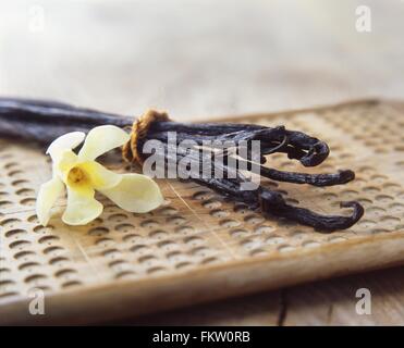 Vanilleschoten und gelbe Blume auf Holzbrett Stockfoto