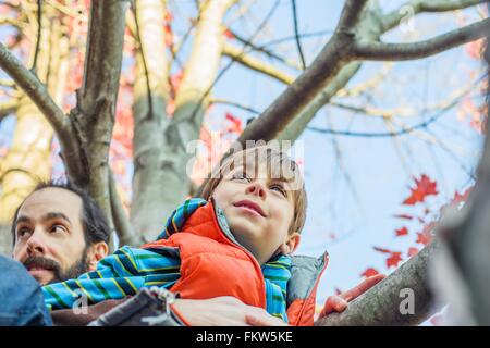 Vater und Sohn Kletterbaum Stockfoto
