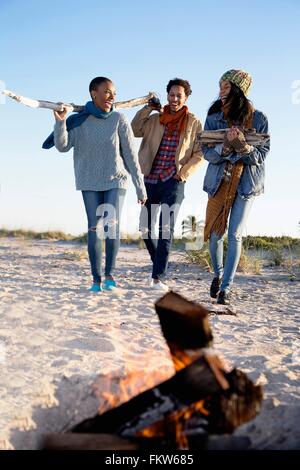 Drei Freunde am Strand sammeln Treibholz für Lagerfeuer Stockfoto