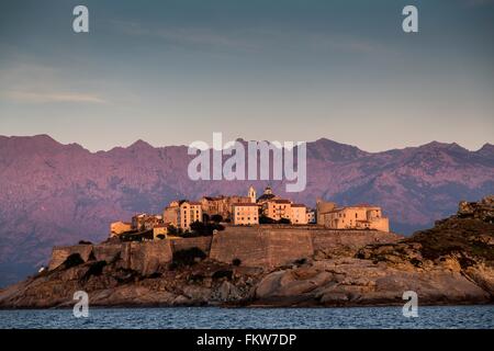 Sehen Sie Meer und Calvi auf Landzunge in der Abenddämmerung, Korsika, Frankreich Stockfoto